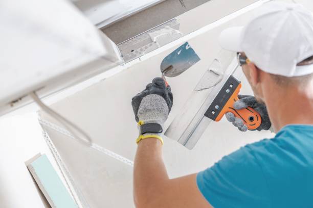 Best Drywall Finishing  in Lyons, WI